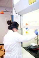Chemistry Research - Jacqui Hamati, Elly Kim, Alyssa Wiest