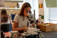 Wightman Lab Photos - Biology