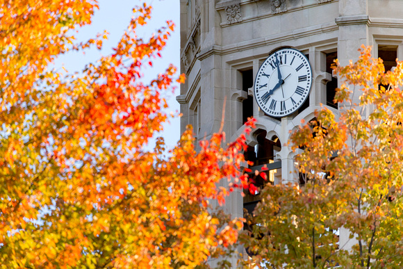 2016_Fall-9
