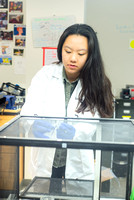 Biology and Neuroscience Research - Vanessa Pham