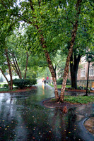 Campus Rainstorm (Hurricane Ida)